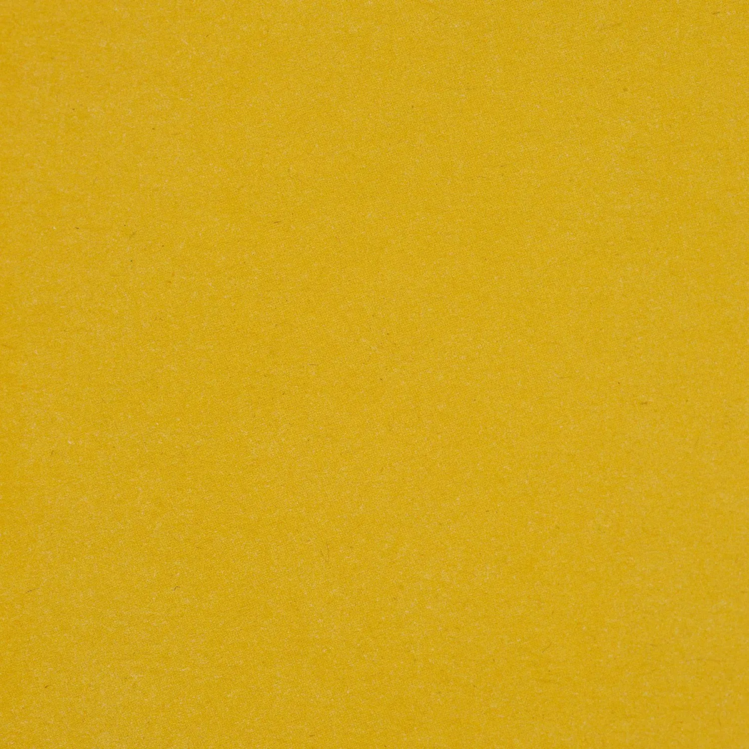 1163398_002_10